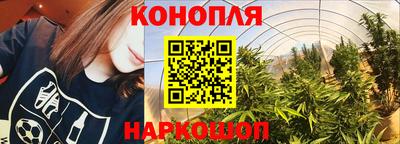 гидропоника Бузулук